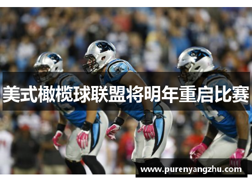 美式橄榄球联盟将明年重启比赛